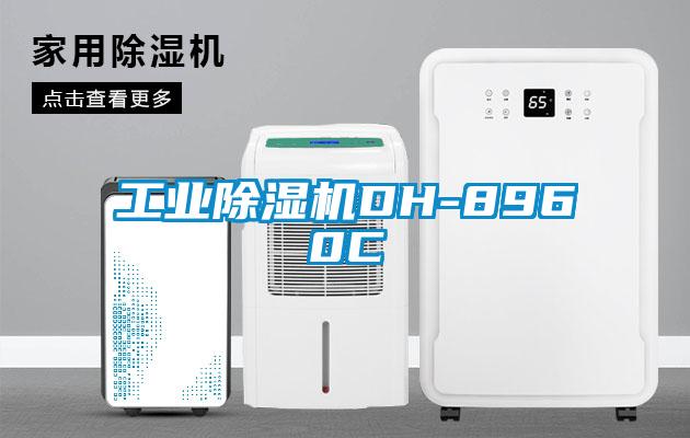 工业除湿机DH-8960C