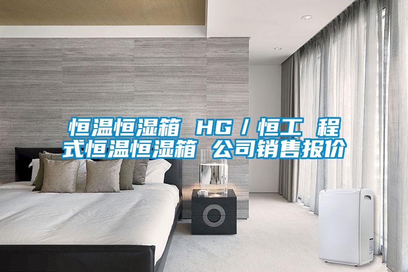 恒温恒湿箱 HG／恒工 程式恒温恒湿箱 公司销售报价