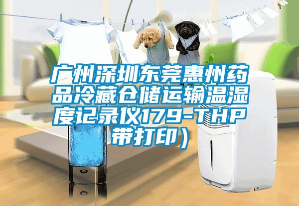 广州深圳东莞惠州药品冷藏仓储运输温湿度记录仪179-THP带打印）