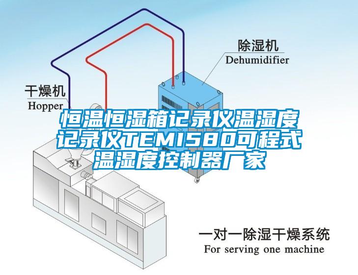 恒温恒湿箱记录仪温湿度记录仪TEMI580可程式温湿度控制器厂家