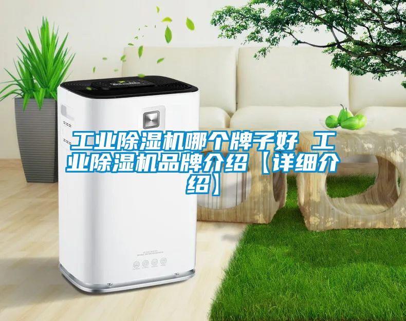 工业除湿机哪个牌子好 工业除湿机品牌介绍【详细介绍】