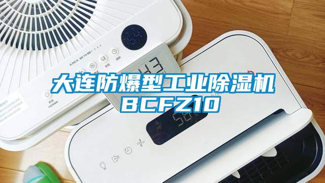 大连防爆型工业除湿机 BCFZ10