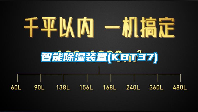 智能除湿装置(KBT37)