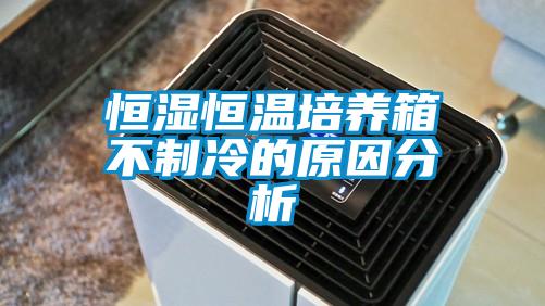 恒湿恒温培养箱不制冷的原因分析