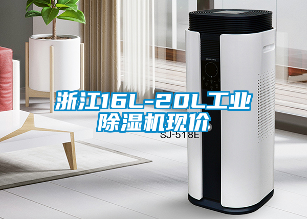 浙江16L-20L工业除湿机现价