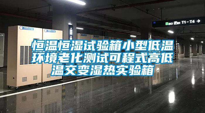 恒温恒湿试验箱小型低温环境老化测试可程式高低温交变湿热实验箱