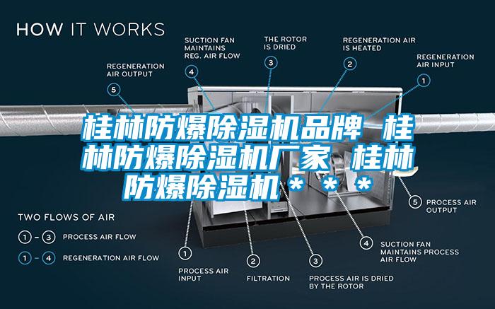 桂林防爆除湿机品牌 桂林防爆除湿机厂家 桂林防爆除湿机＊＊＊