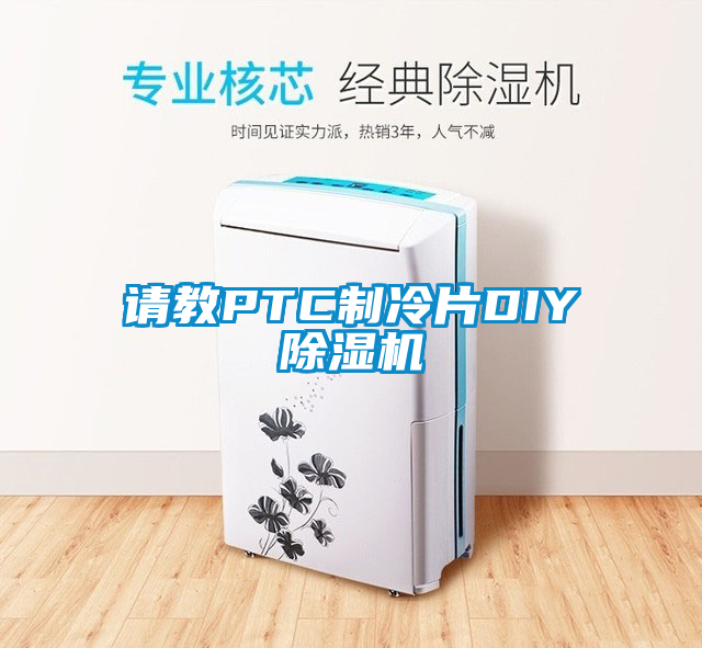 请教PTC制冷片DIY除湿机