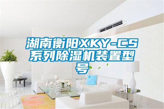 湖南衡阳XKY-CS系列除湿机装置型号