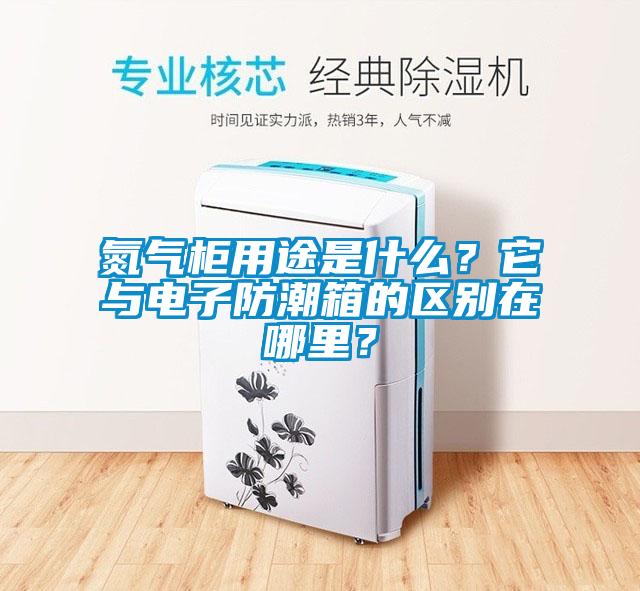 氮气柜用途是什么？它与电子防潮箱的区别在哪里？