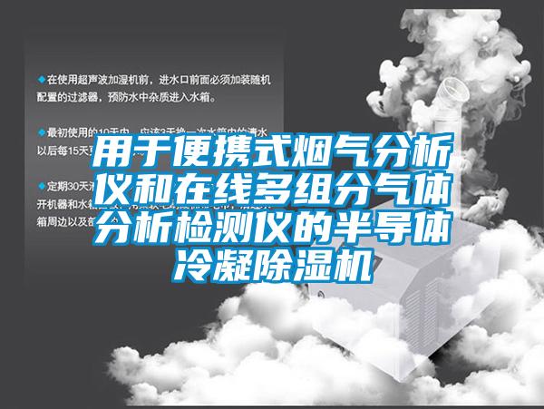 用于便携式烟气分析仪和在线多组分气体分析检测仪的半导体冷凝除湿机