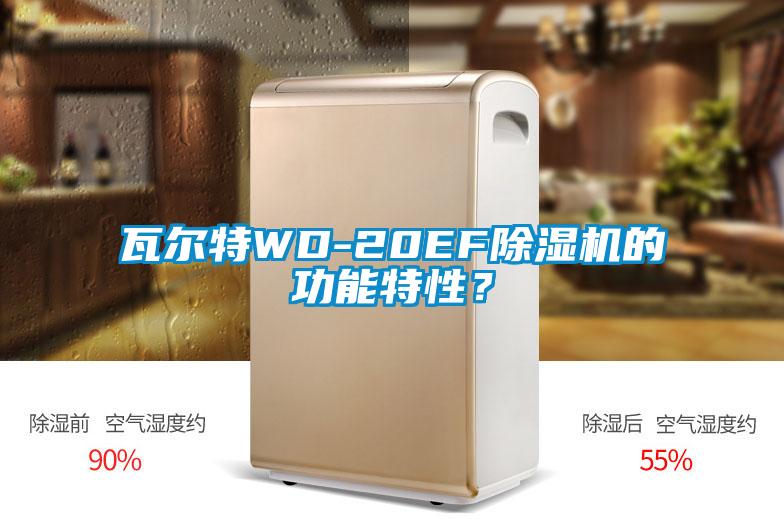 瓦尔特WD-20EF除湿机的功能特性？