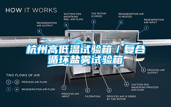 杭州高低温试验箱／复合循环盐雾试验箱