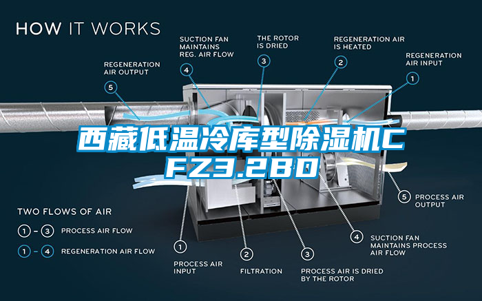 西藏低温冷库型除湿机CFZ3.2BD