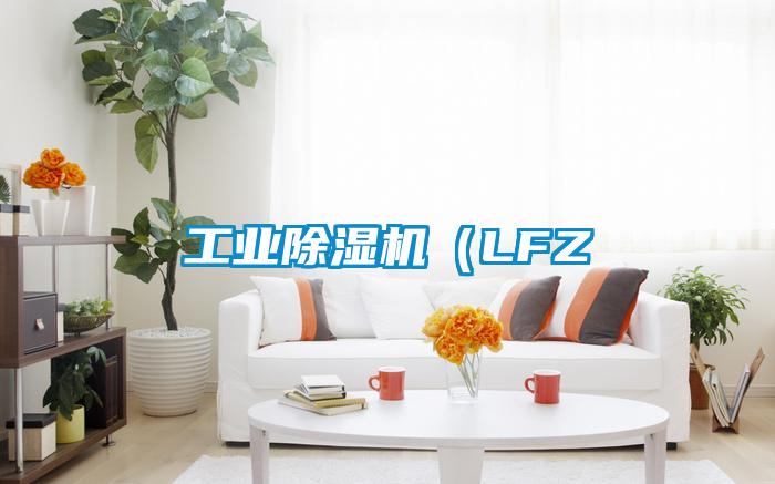 工业除湿机（LFZ