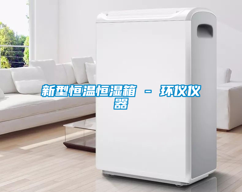 新型恒温恒湿箱 - 环仪仪器