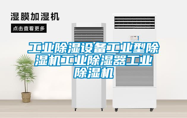 工业除湿设备工业型除湿机工业除湿器工业除湿机