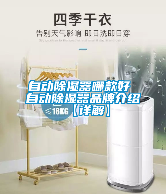 自动除湿器哪款好 自动除湿器品牌介绍【详解】