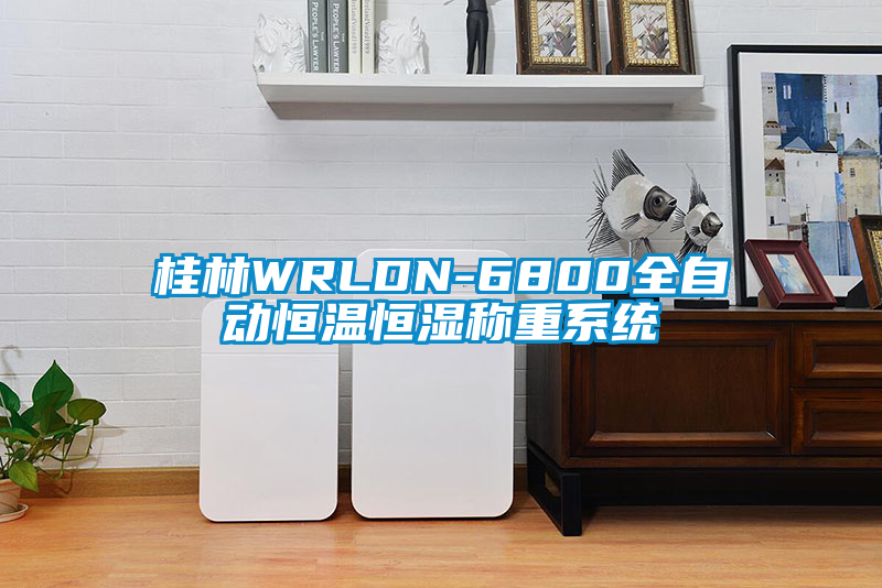 桂林WRLDN-6800全自动恒温恒湿称重系统