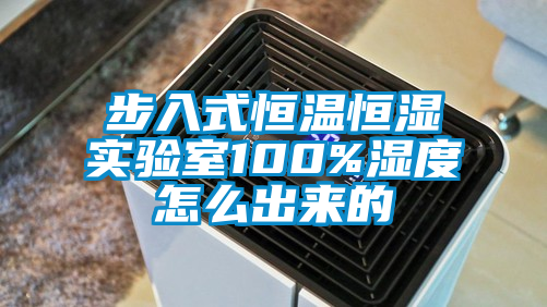 步入式恒温恒湿实验室100%湿度怎么出来的