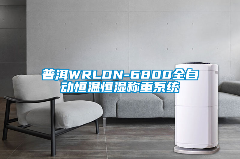 普洱WRLDN-6800全自动恒温恒湿称重系统