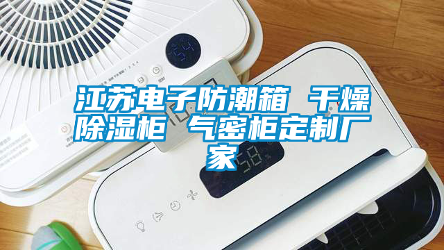 江苏电子防潮箱 干燥除湿柜 气密柜定制厂家