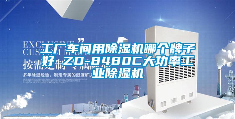 工厂车间用除湿机哪个牌子好 ZD-8480C大功率工业除湿机