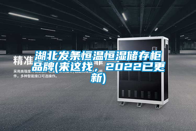 湖北发条恒温恒湿储存柜品牌(来这找，2022已更新)