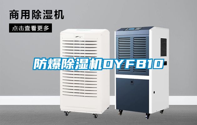 防爆除湿机DYFB10