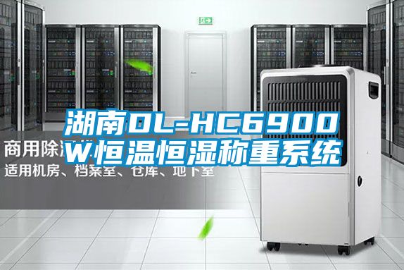 湖南DL-HC6900W恒温恒湿称重系统