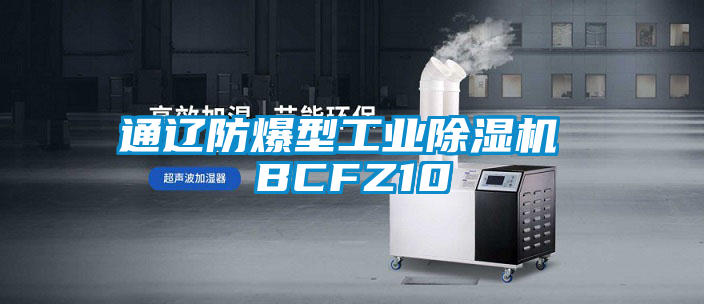 通辽防爆型工业除湿机 BCFZ10