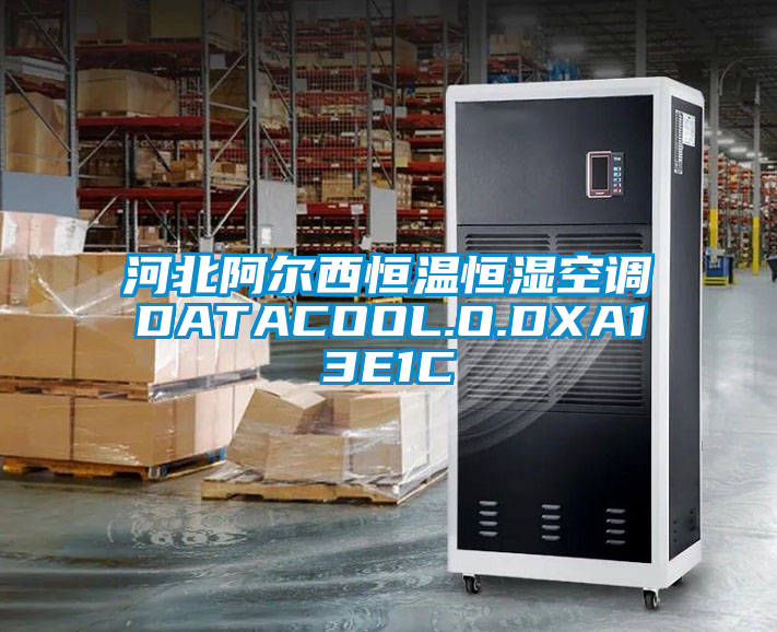 河北阿尔西恒温恒湿空调DATACOOL.O.DXA13E1C