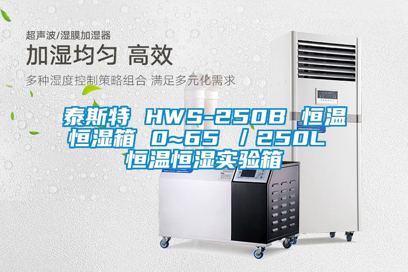 泰斯特 HWS-250B 恒温恒湿箱 0~65℃／250L 恒温恒湿实验箱