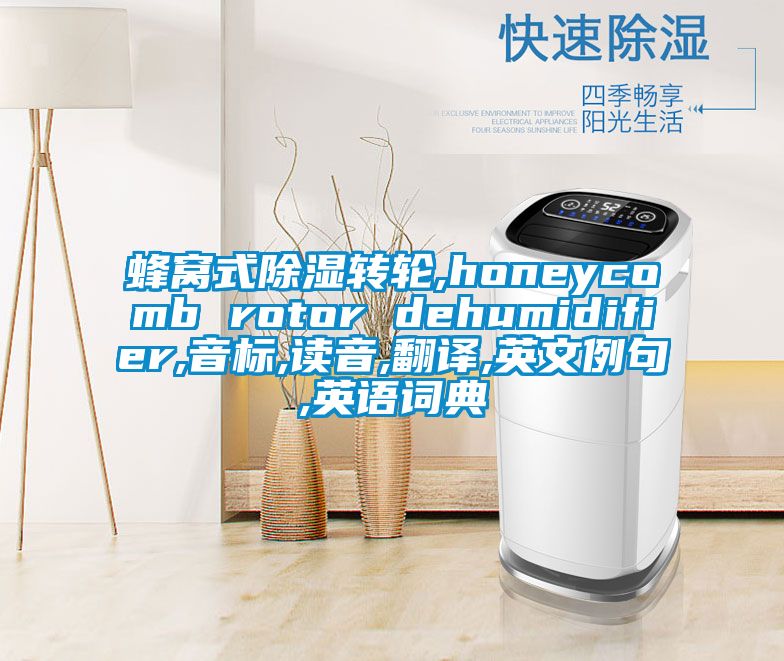 蜂窝式除湿转轮,honeycomb rotor dehumidifier,音标,读音,翻译,英文例句,英语词典