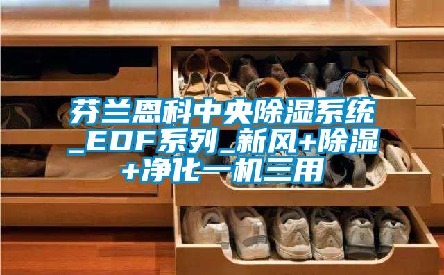 芬兰恩科中央除湿系统_EDF系列_新风+除湿+净化一机三用