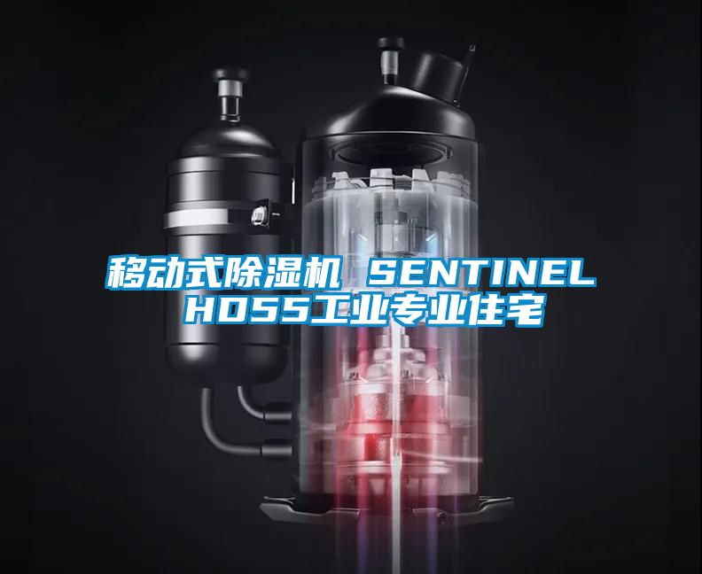 移动式除湿机 SENTINEL HD55工业专业住宅