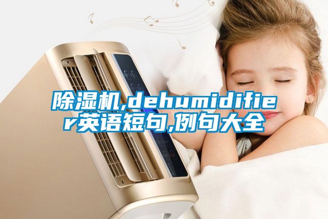 除湿机,dehumidifier英语短句,例句大全