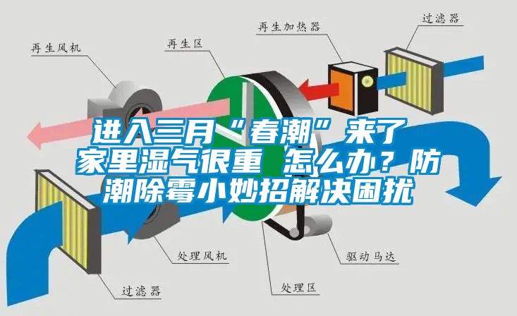 进入三月“春潮”来了 家里湿气很重 怎么办？防潮除霉小妙招解决困扰