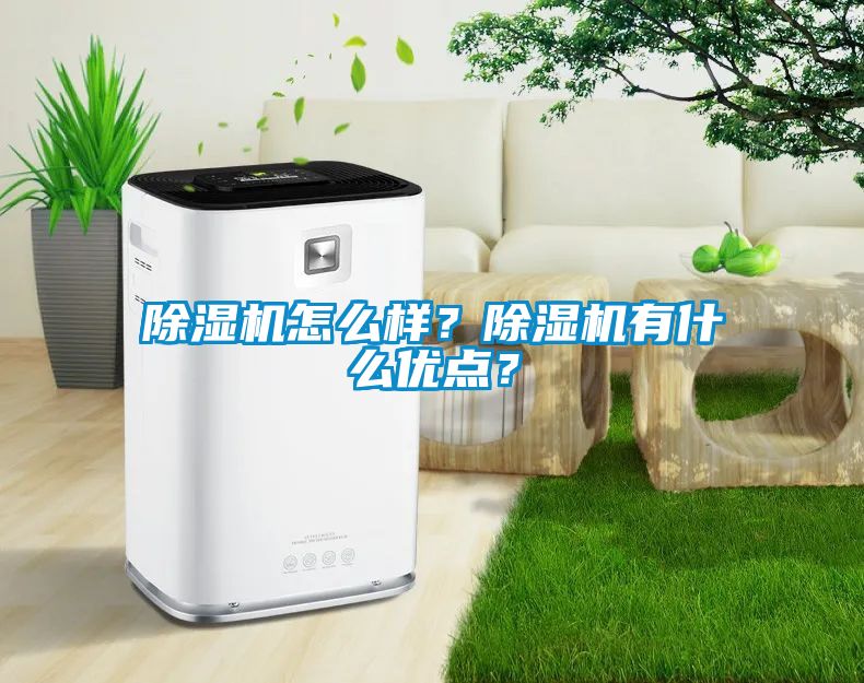 除湿机怎么样？除湿机有什么优点？