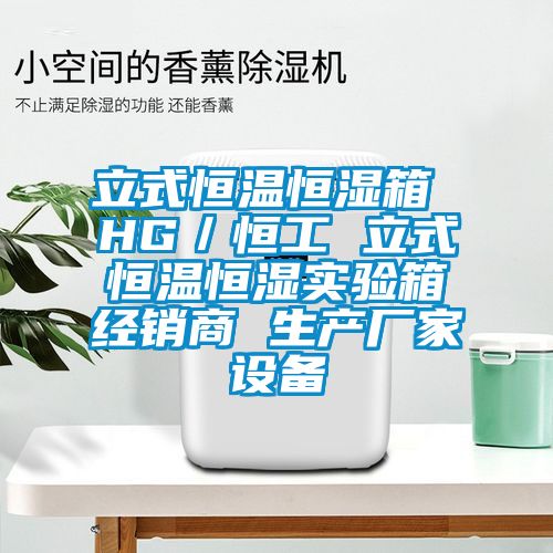 立式恒温恒湿箱 HG／恒工 立式恒温恒湿实验箱经销商 生产厂家设备