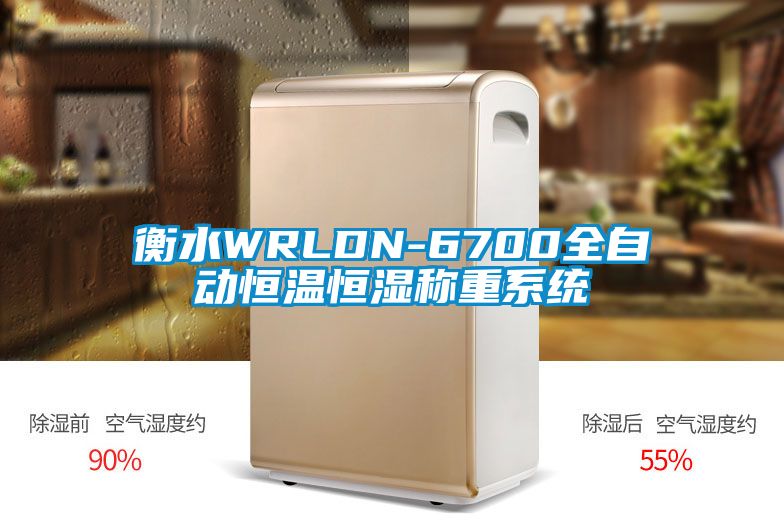 衡水WRLDN-6700全自动恒温恒湿称重系统