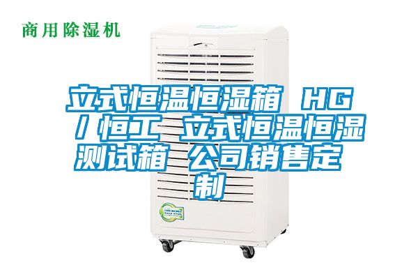 立式恒温恒湿箱 HG／恒工 立式恒温恒湿测试箱 公司销售定制