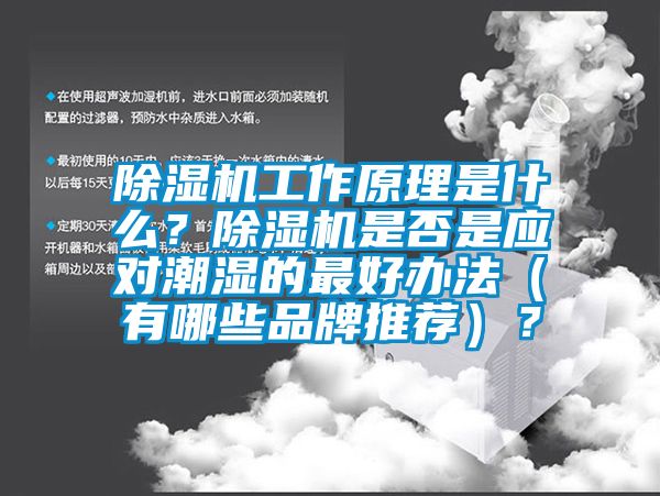 除湿机工作原理是什么？除湿机是否是应对潮湿的最好办法（有哪些品牌推荐）？