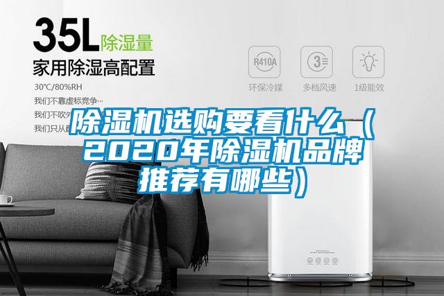 除湿机选购要看什么（2020年除湿机品牌推荐有哪些）