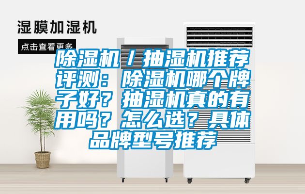 除湿机／抽湿机推荐评测：除湿机哪个牌子好？抽湿机真的有用吗？怎么选？具体品牌型号推荐