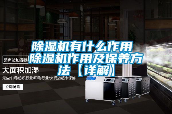 除湿机有什么作用 除湿机作用及保养方法【详解】