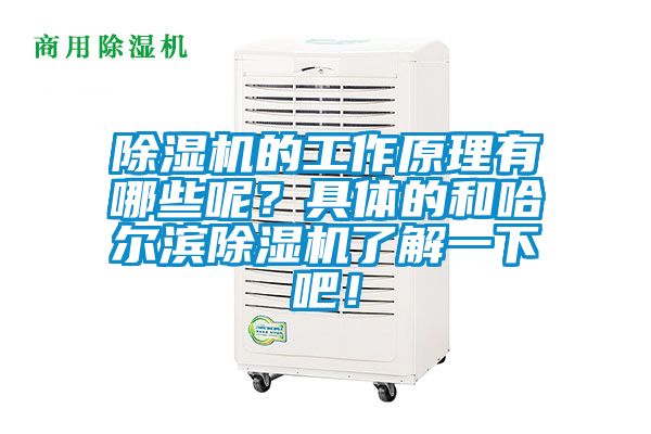 除湿机的工作原理有哪些呢？具体的和哈尔滨除湿机了解一下吧！