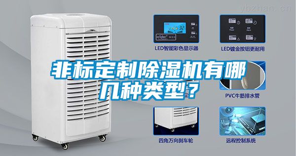 非标定制除湿机有哪几种类型？